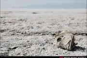 هشدار روحانی درباره وقوع طوفان نمک