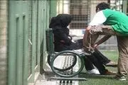 ایجاد مزاحمت برای اطفال و بانوان در معابر چه مجازاتی دارد؟
