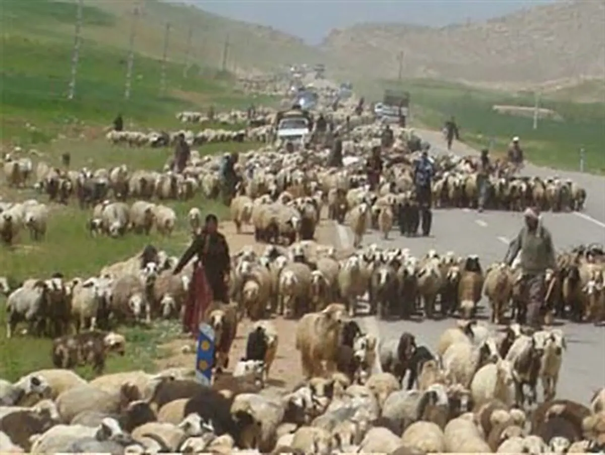 کوچ بهاری بیش از سه هزار خانوار عشایری در خداآفرین آغاز شد