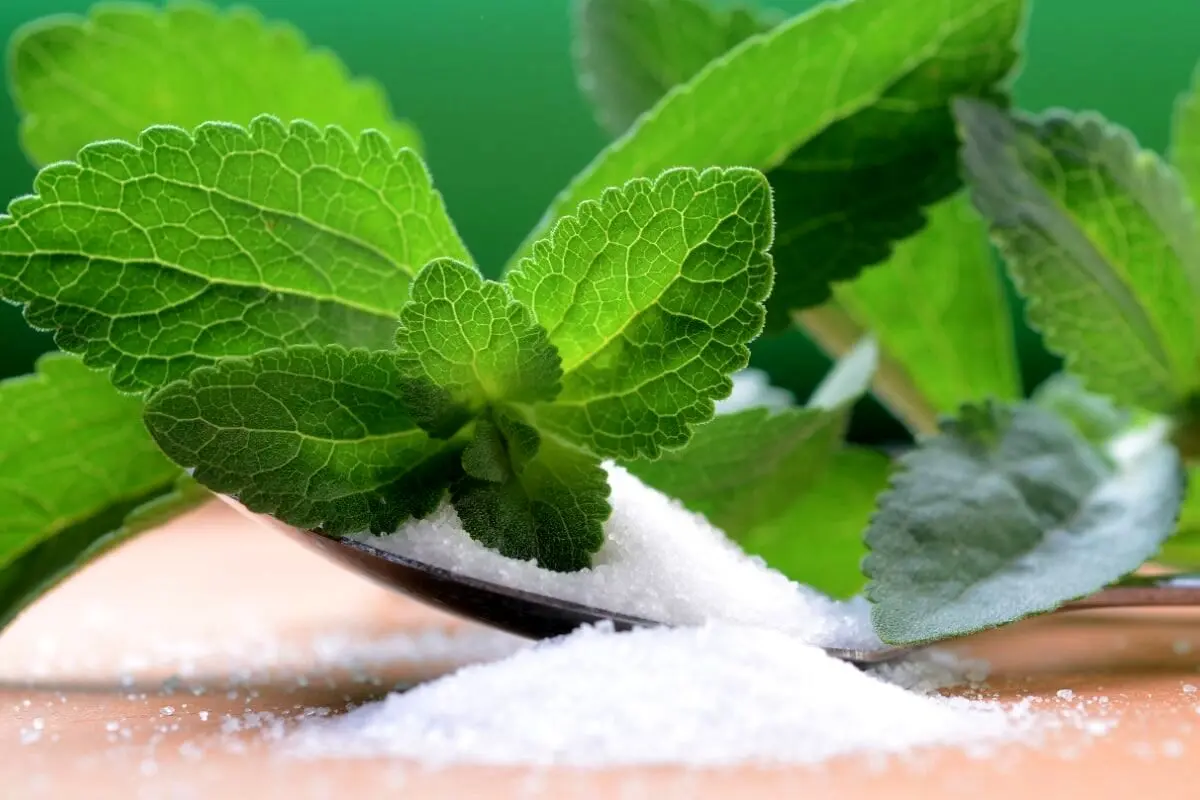 گیاهی مفید برای دیابتیها