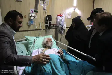 استاد سبزواری