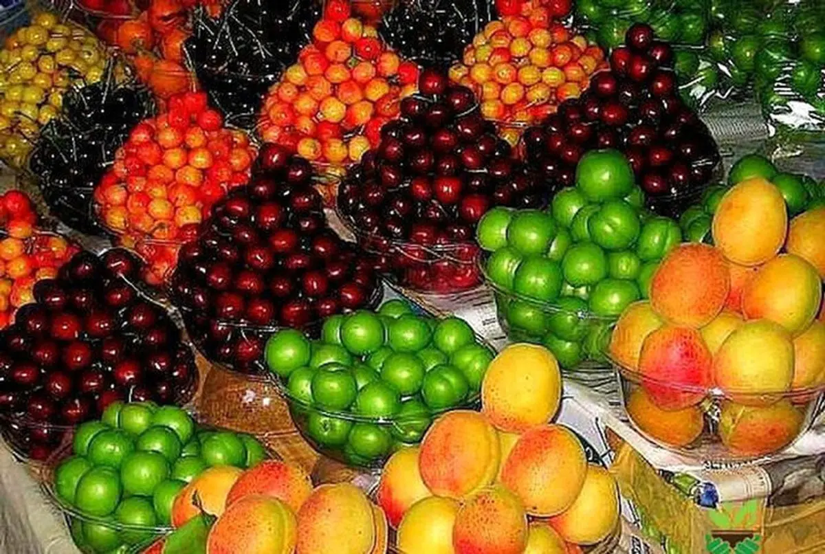 آغاز عرضه نوبرانههای بهاری در بازارهای میوهوترهبار