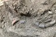 کشف اسکلت ۱۲ هزار ساله کودکی در غار هوتو مازندران