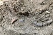 کشف اسکلت ۱۲ هزار ساله کودکی در غار هوتو مازندران