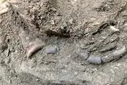 کشف اسکلت ۱۲ هزار ساله کودکی در غار هوتو مازندران