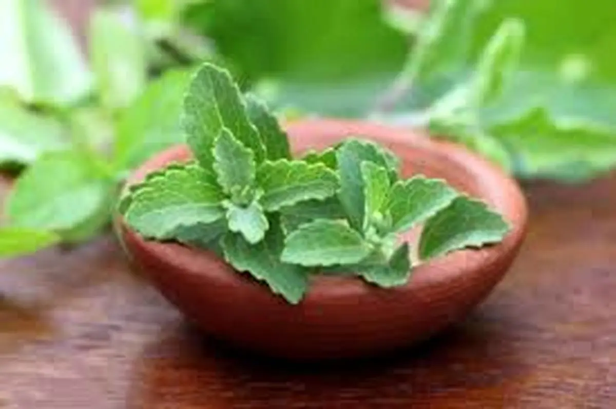 شیوه جدید درمان دیابت
