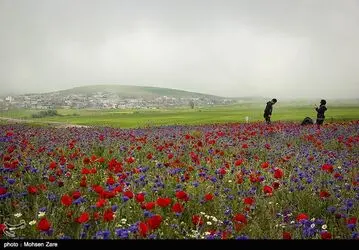 طبیعت