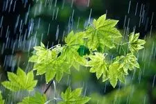 رگبار باران و بارش تگرگ کشور را فرا میگیرد