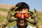 انواع مختلف ماسک گوجه فرنگی برای زیبایی + آموزش