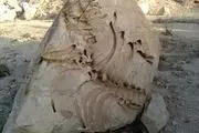 عاقبت سنگواره‌ای ۲۰ میلیون ساله در همدان