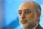 پیام تسلیت صالحی به مناسبت سالگرد سانحه سقوط هواپیمای اوکراینی