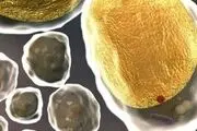 ماده ناشناخته دو انگلیسی را مسموم کرد
