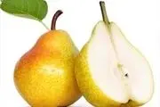 طنز/ رئیس‌جمهورهای ایران به چه میوه‌های علاقه دارند؟
