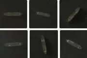 فوری/ عبور دوباره‌ی ۴ نفتکش ایرانی از محاصره دریایی
