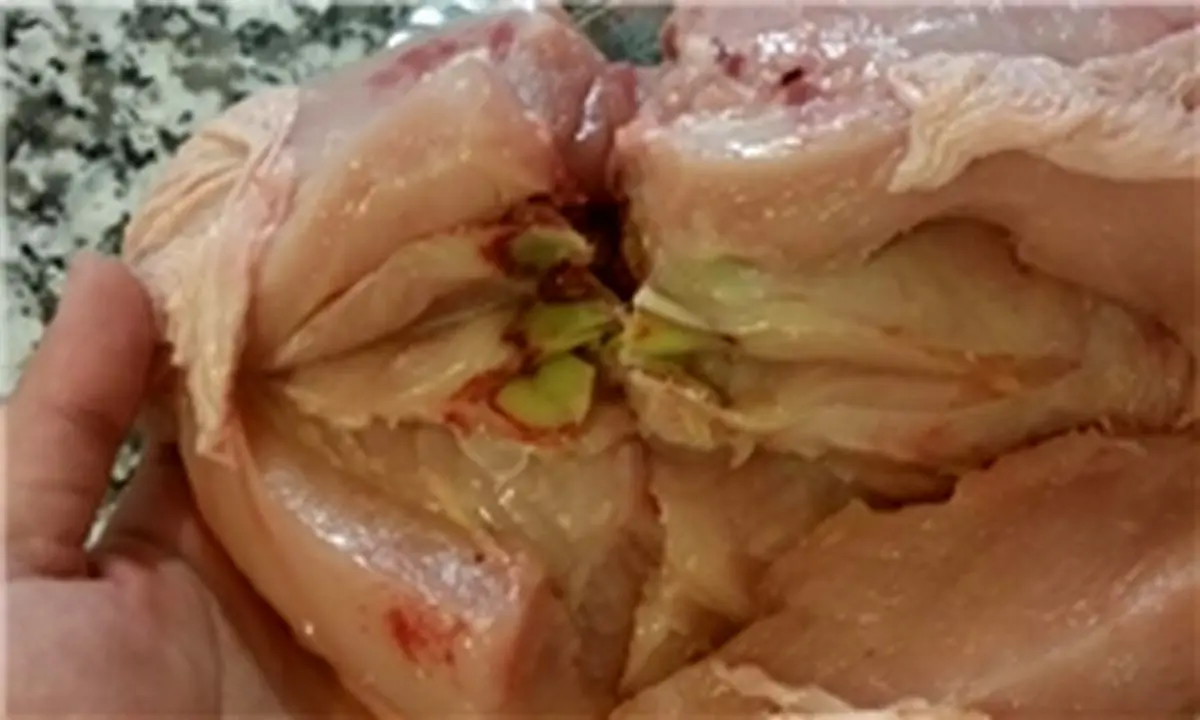 چگونه از سلامت مرغ اطمینان پیدا کنیم