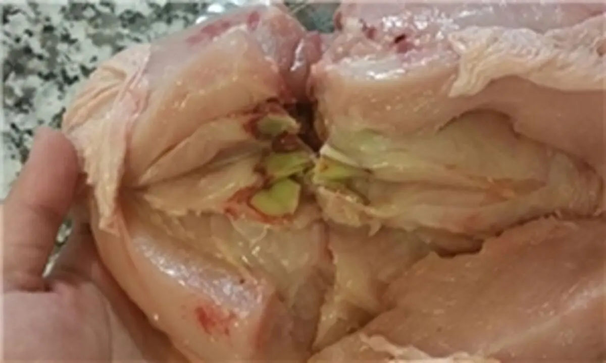  چگونه از سلامت مرغ اطمینان پیدا کنیم