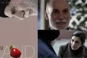 ناگفته‌های فیلم‌ساز ایرانی در کانادا 