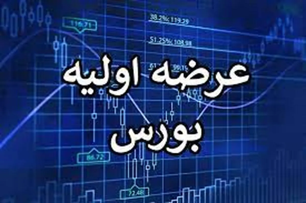 امروز ۲۹ بهمن۱۴۰۲، عرضه اولیه بورس لغو شد