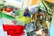 کدام محصولات توسط وزارتخانه‌ها وارد کشور می‌شود؟