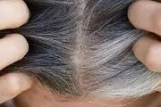 لوتئولین؛ راهی طبیعی برای جلوگیری از خاکستری شدن موها؟