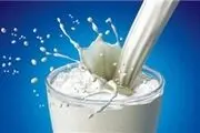 تولید 921 هزار تن شیر طی سال 94 در خراسان رضوی