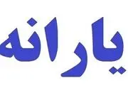حذف یارانه نقدی پردرآمدها پشت سد حساب‌های نیابتی