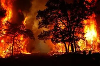 عامل آتش سوزی جنگلهای سپیدان به ۱۱ میلیارد ریال جریمه محکوم شد