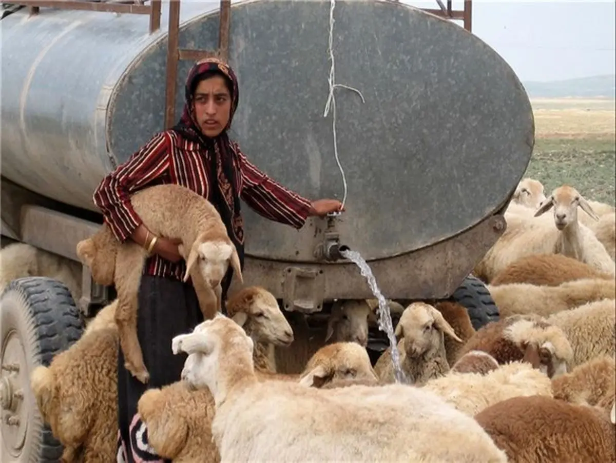 ۲۰۰ خانوار عشایر شهرستان با تانکر آبرسانی می شوند