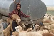 ۲۰۰ خانوار عشایر شهرستان با تانکر آبرسانی می شوند