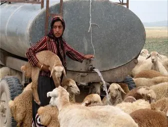 ۲۰۰ خانوار عشایر شهرستان با تانکر آبرسانی می شوند