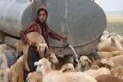 ۲۰۰ خانوار عشایر شهرستان با تانکر آبرسانی می شوند