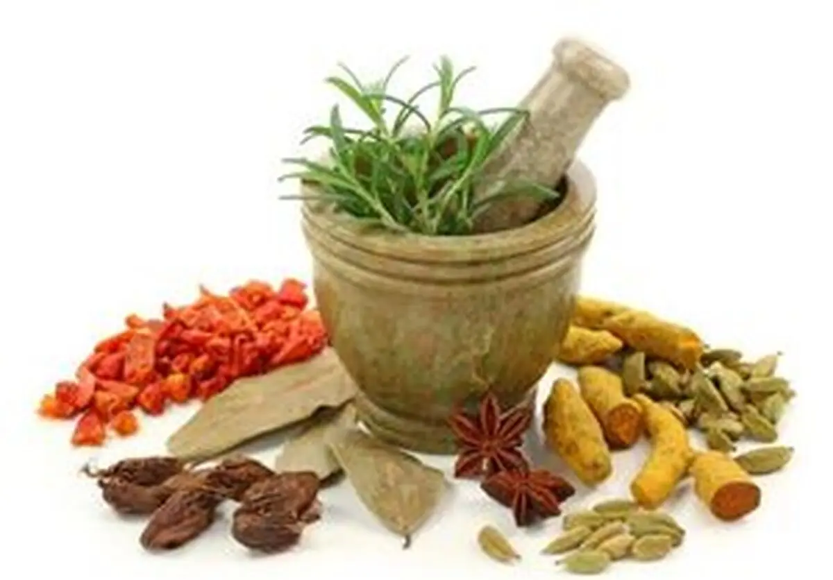 گام های اساسی وزارت بهداشت برای احیای طب سنتی