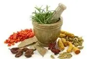 گام های اساسی وزارت بهداشت برای احیای طب سنتی