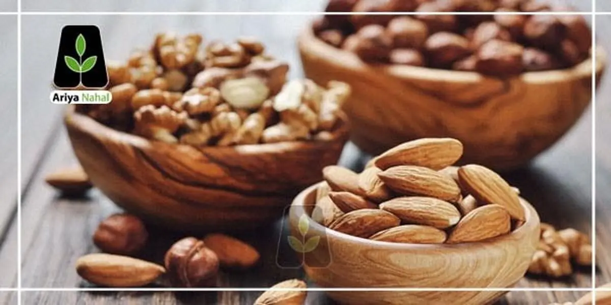 چرا از نهال گردو و نهال بادام به عنوان بهترین نهال ها یاد می شود ؟
