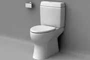 آیا توالت فرنگی گزینه مناسبی است؟