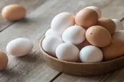 تولید تخم مرغ در ۱۵ سال اخیر رکورد زد
