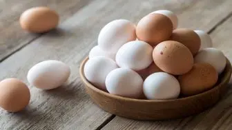 تولید تخم مرغ در ۱۵ سال اخیر رکورد زد
