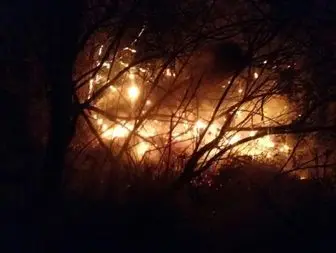 آتش سوزی گسترده در جنگل های حاشیه رودخانه کرخه شوش