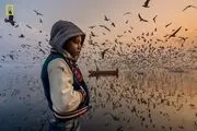 برندگان مسابقه عکاسی نشنال جئوگرافیک ۲۰۱۹ / گزارش تصویری