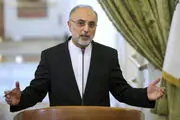 صالحی: ایران به قدرت بلامنازع منطقه مبدل شده است