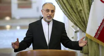 "صالحی" تصمیم برجامی ایران را شفاف کرد