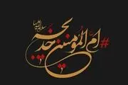 حضرت خدیجه (س) را بهتر بشناسیم