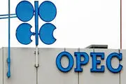 برگزاری نشست اوپک یک هفته پس از تحریم‌های نفتی ایران