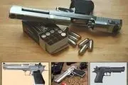 
باند فروش اسلحه در غرب هرمزگان متلاشی شد
