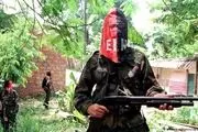چریک‌های ای ال ان کلمبیا اعلام آتش‌بس کردند