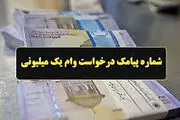 شماره پیامک یارانه یک میلیون تومانی