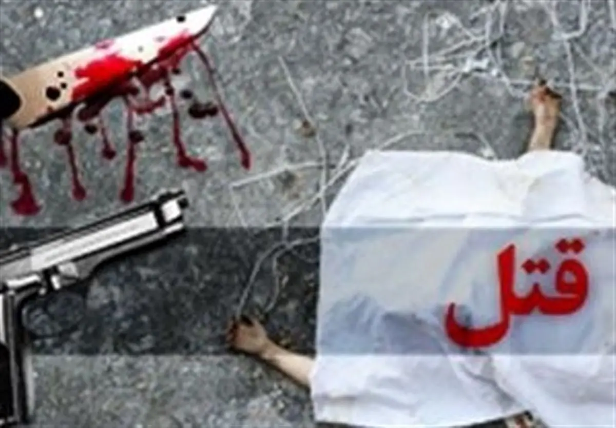قاتل ۲ نوجوان اهوازی با اقدام ضربتی پلیس استان مرکزی
دستگیر
شد 