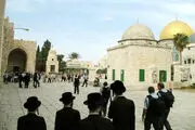یورش هتاکانه شهرک‌نشینان به مسجدالاقصی