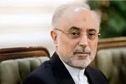 به راحتی می‌توانیم به وضعیت قبل از برجام بازگردیم
