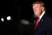 ترامپ: مهاجران فرانسه را تصرف کرده‌اند